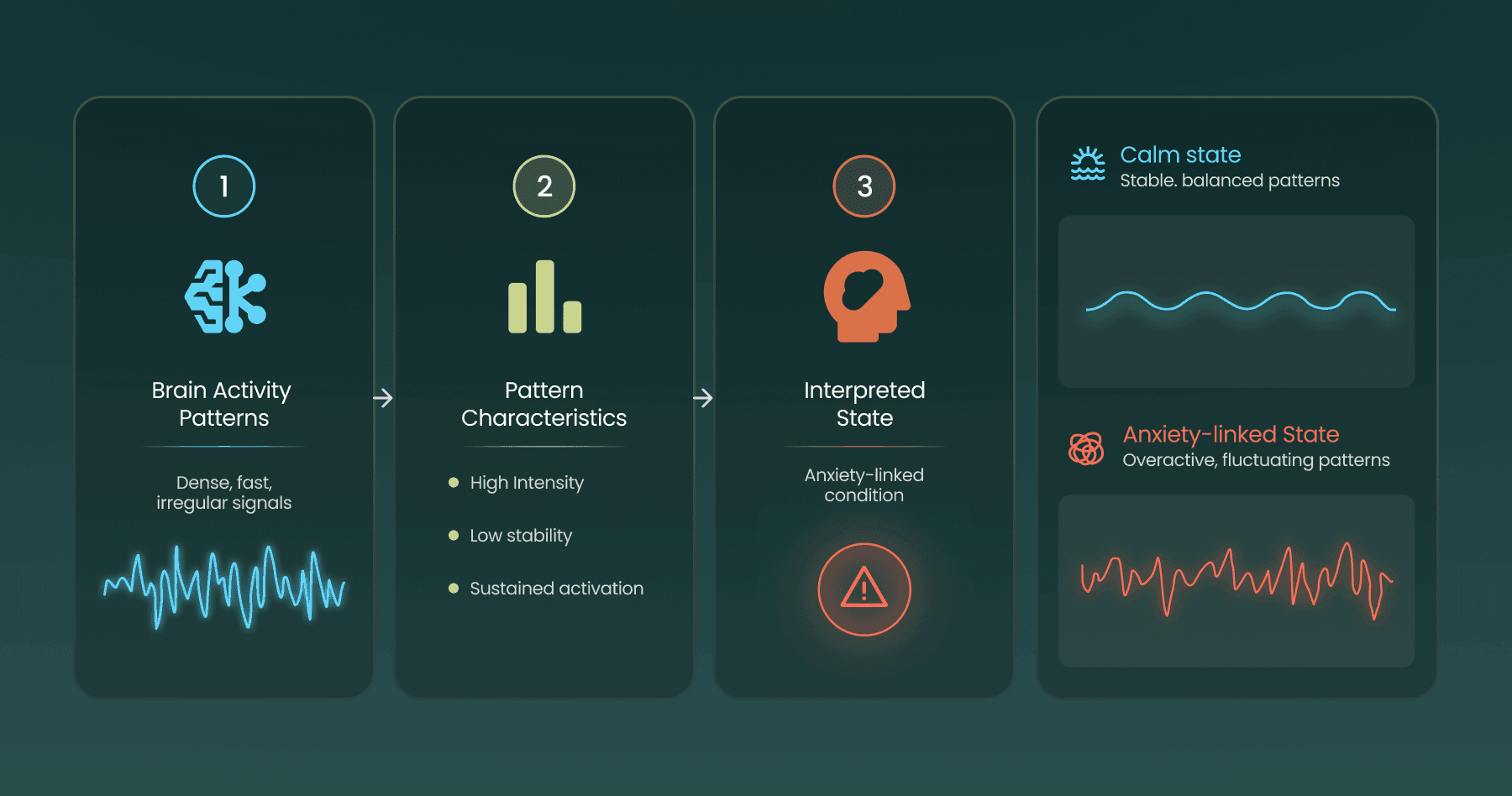 Brain Signal Patterns Basil Health — Measure Your Mind. Master Your Potential.